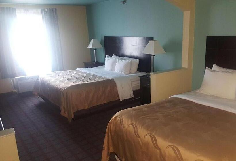 غرفة قياسية سرير كينج, Surestay Plus Hotel By Best Western Blue Springs