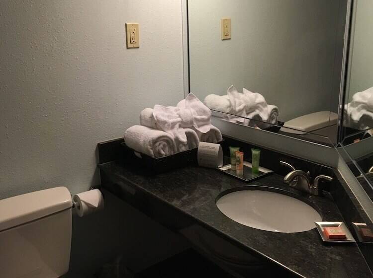 スイート, Wyndham Garden Hotel Austin