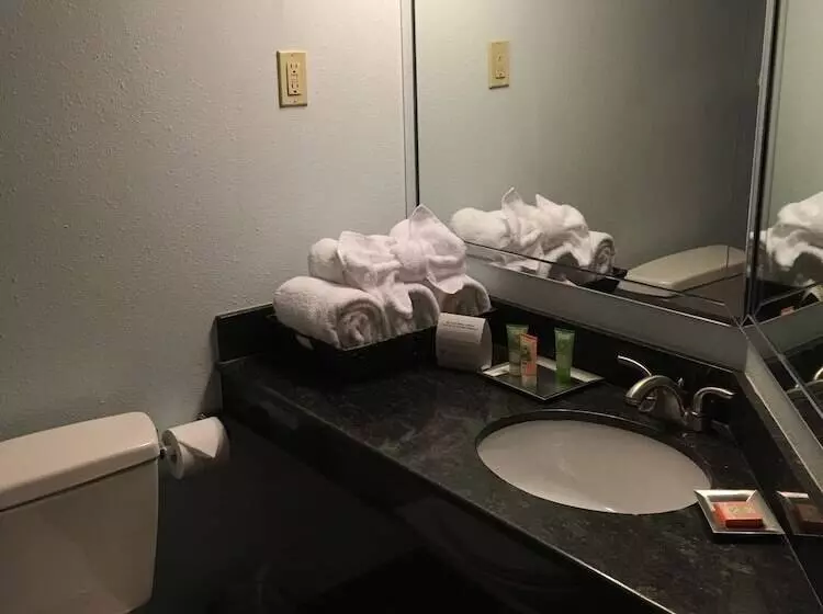 スイート, Wyndham Garden Hotel Austin