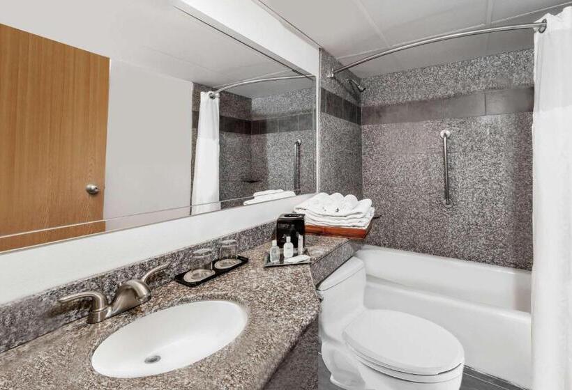 キングサイズベッドのスタンダードルーム, Wyndham Garden Hotel Austin