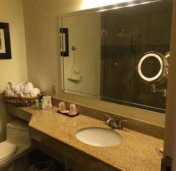 エクゼクティブルーム, Wyndham Garden Hotel Austin