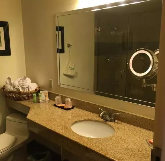エクゼクティブルーム, Wyndham Garden Hotel Austin