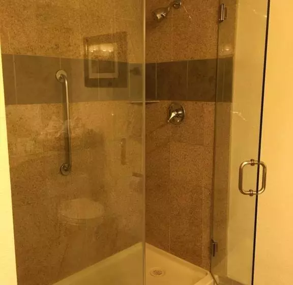 エクゼクティブルーム, Wyndham Garden Hotel Austin