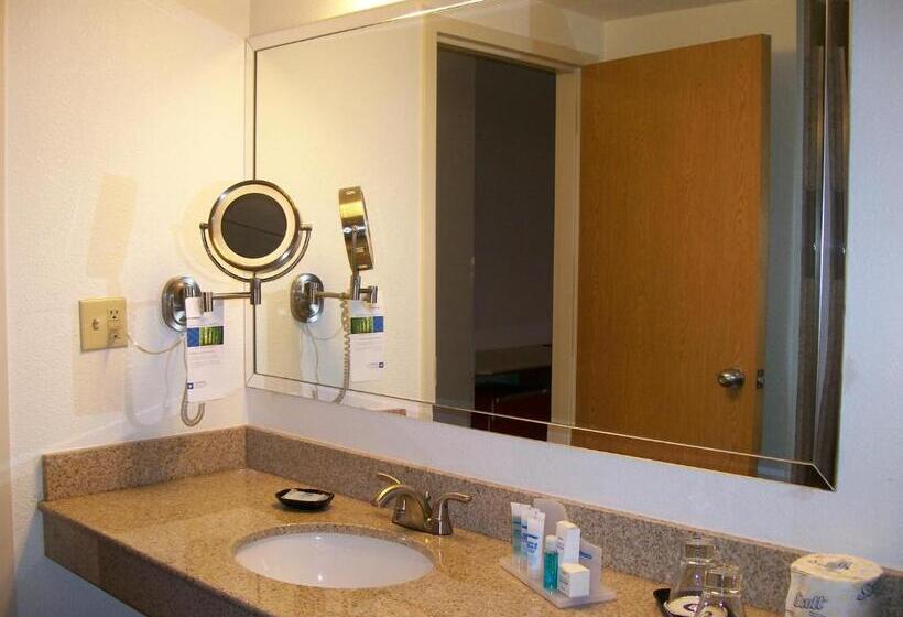 エクゼクティブルーム, Wyndham Garden Hotel Austin