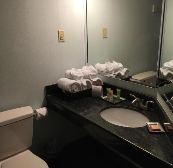 スイート, Wyndham Garden Hotel Austin