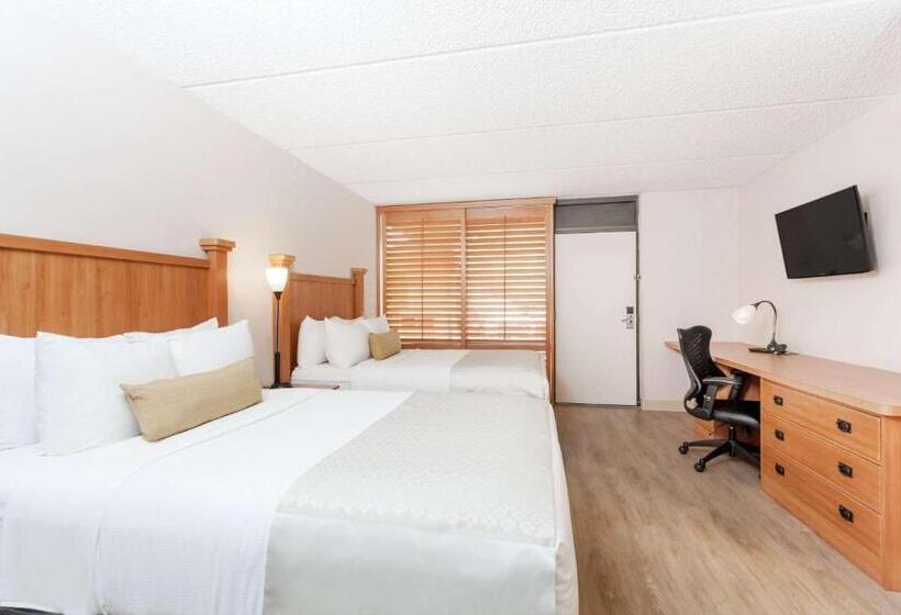 スイート, Wyndham Garden Hotel Austin