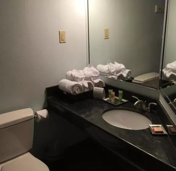 キングサイズベッドのスイートルーム, Wyndham Garden Hotel Austin