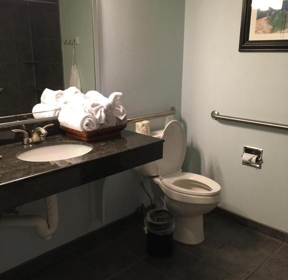 キングサイズベッドのスタンダードルーム, Wyndham Garden Hotel Austin