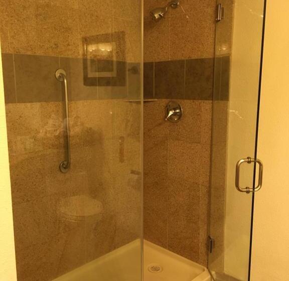 シングルデラックスルーム, Wyndham Garden Hotel Austin