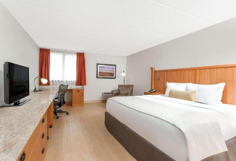 シングルデラックスルーム, Wyndham Garden Hotel Austin