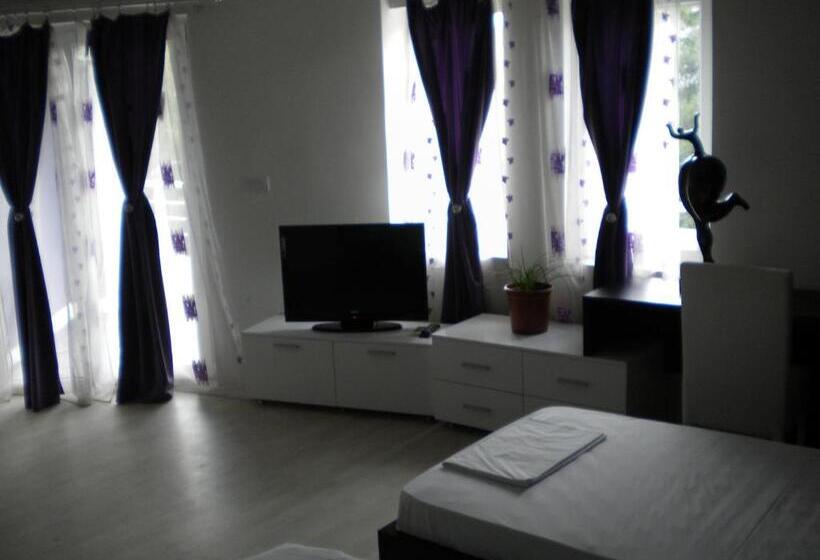 اتاق استاندارد سه نفره, Leder