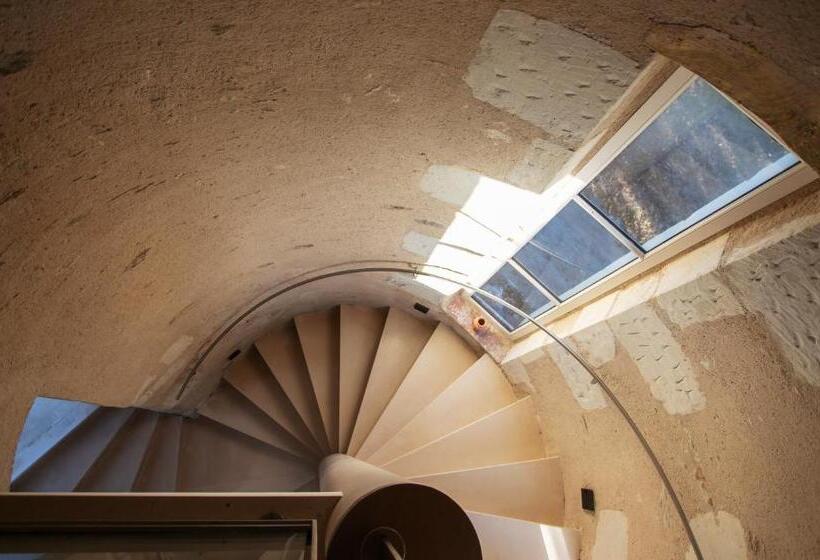 Номер Стандарт, Vignoble Château Piéguë Winery