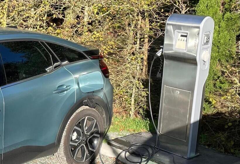 Студия Стандарт, Vignoble Château Piéguë Winery