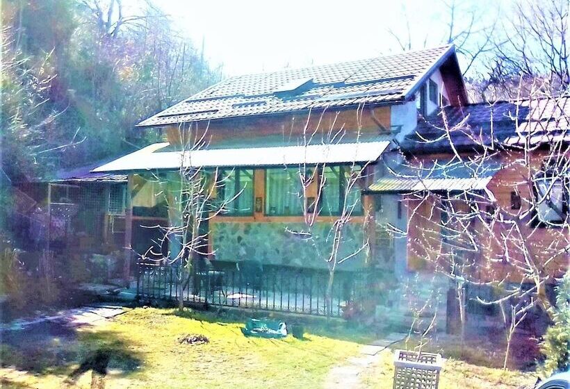 Апартаменты Комфорт 1 Спальня, Leyla Guesthouse Castel