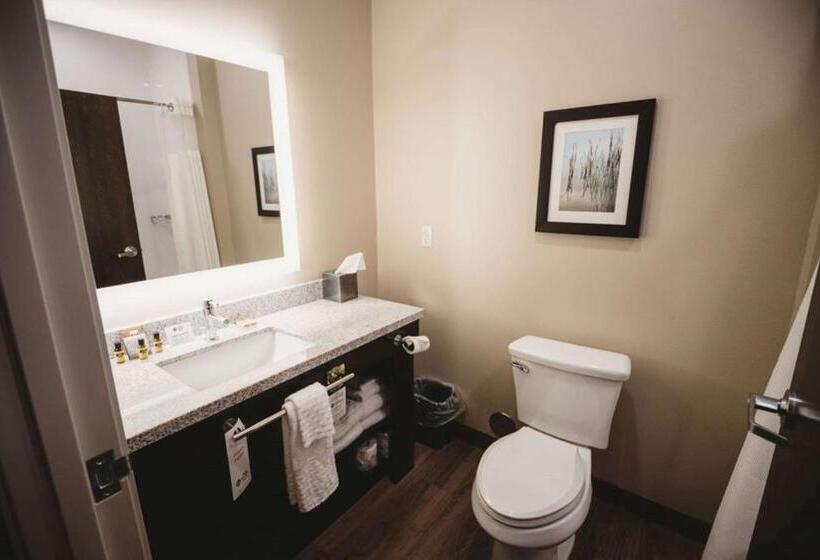 Номер Стандартный Кровать Куин, Best Western Plus Lakeview