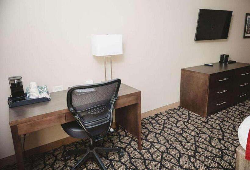 غرفة قياسية فردية سرير كينج, Best Western Plus Lakeview