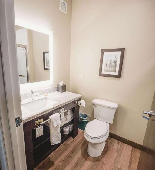 Номер Стандартный Кровать Куин, Best Western Plus Lakeview