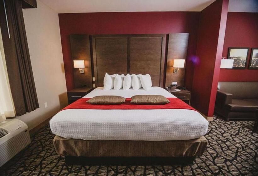 غرفة قياسية فردية لذوى الإحتياجات الخاصة, Best Western Plus Lakeview