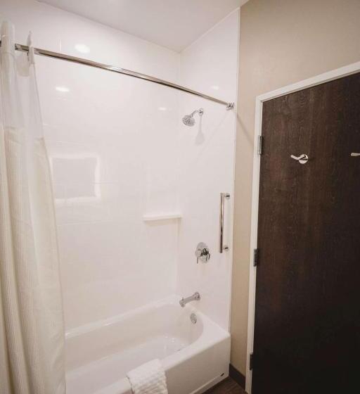 غرفة قياسية سرير ملكى لذوى الإحتياجات الخاصة, Best Western Plus Lakeview