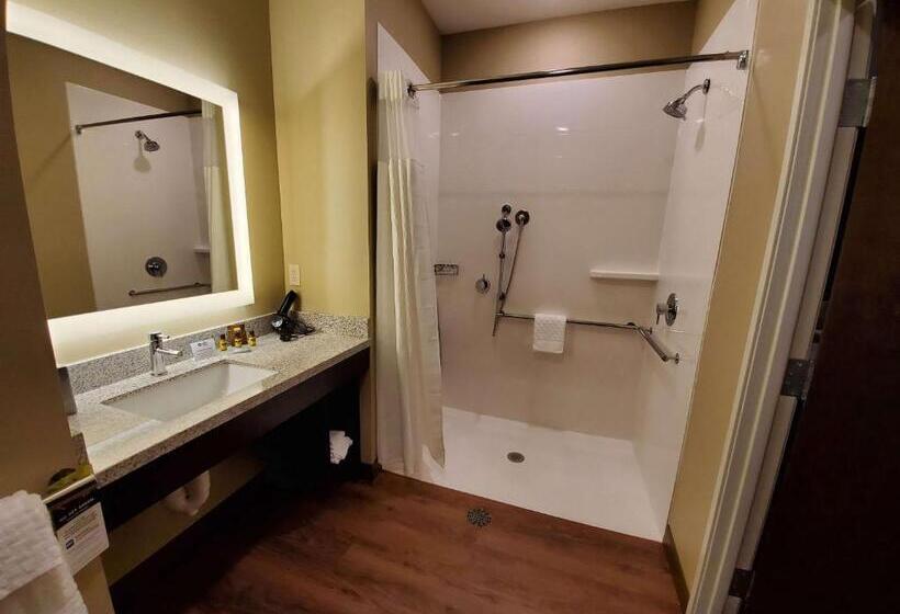 غرفة قياسية فردية لذوى الإحتياجات الخاصة, Best Western Plus Lakeview