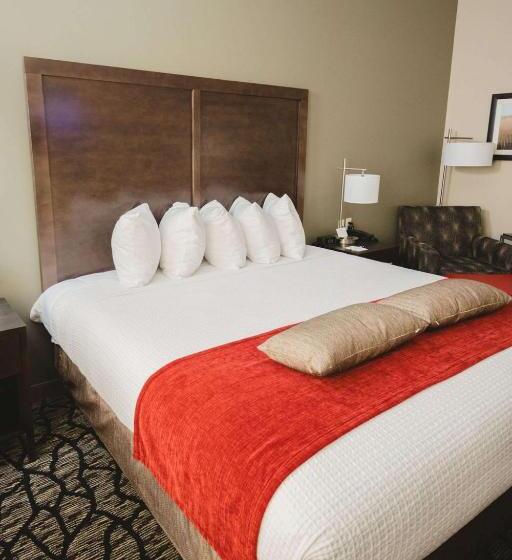 غرفة قياسية فردية لذوى الإحتياجات الخاصة, Best Western Plus Lakeview