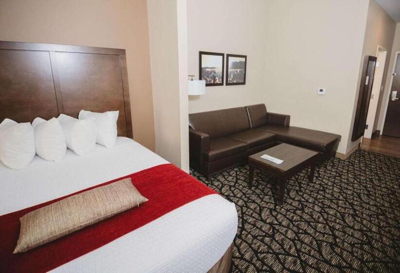 Номер Стандарт Кровать Квин Адаптированный для Инвалидов, Best Western Plus Lakeview
