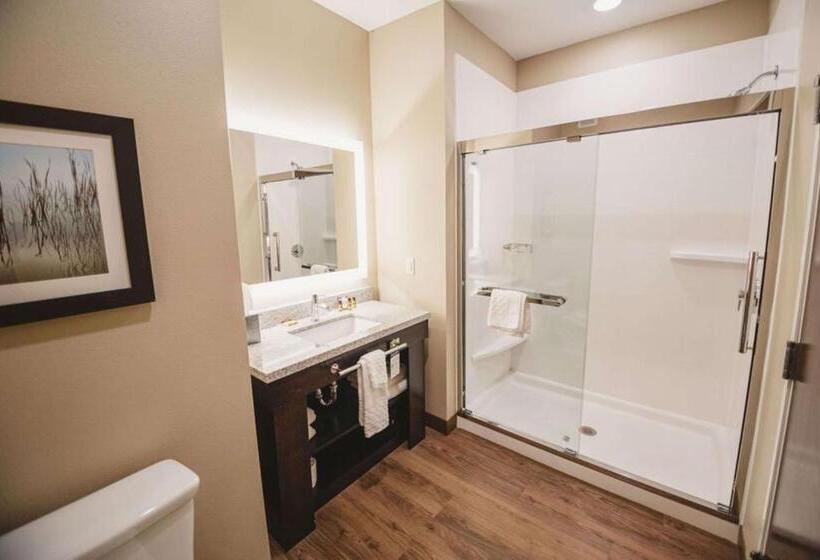 غرفة قياسية فردية سرير كينج, Best Western Plus Lakeview