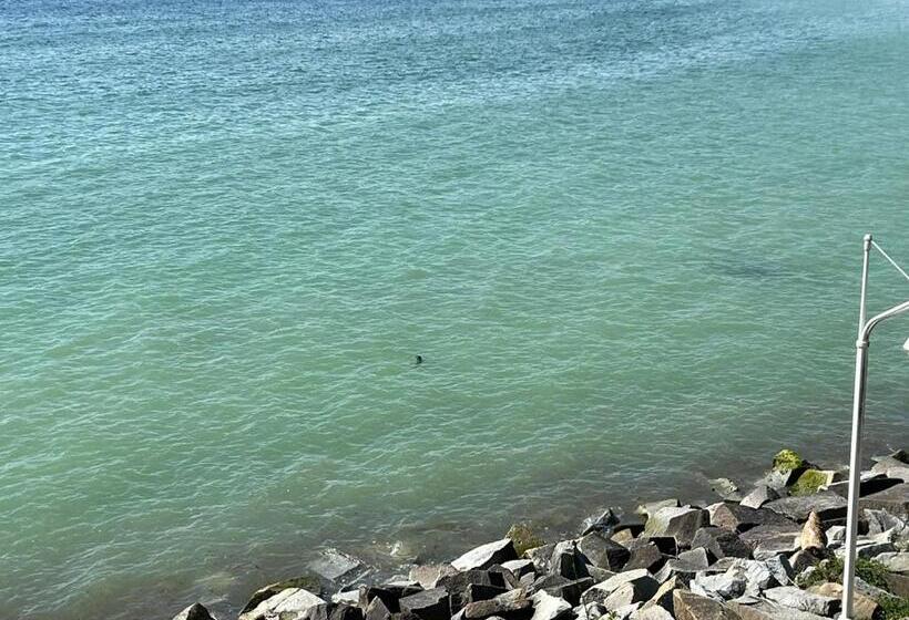 غرفة قياسية مزوَّدة بتراس, Fährblick Pension Direkt Am Wasser