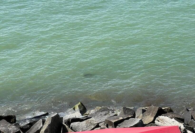 غرفة ديلوكس مطلّة علي البحر, Fährblick Pension Direkt Am Wasser