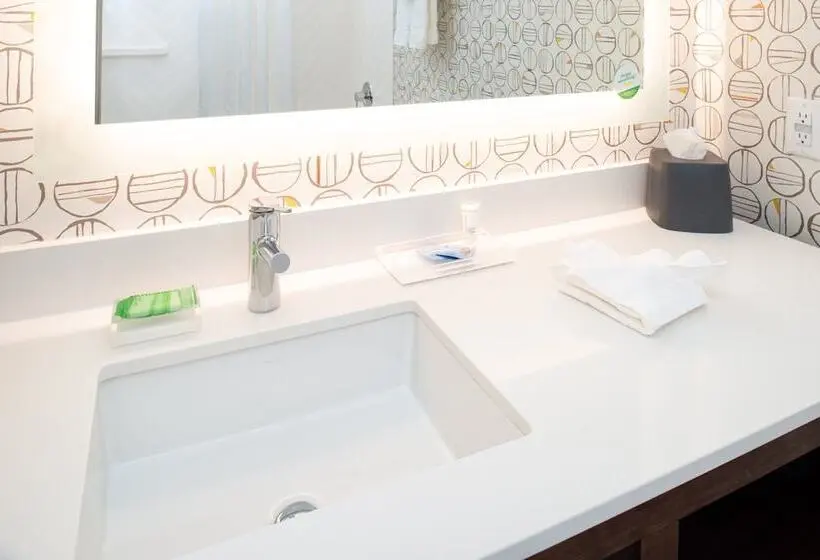 スイート, Holiday Inn & Suites   Idaho Falls, An Ihg