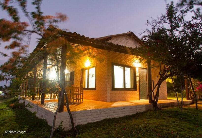 이코노미 룸, Pipátoa Bungalows