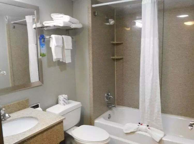 スイート, Days Inn & Suites By Wyndham Downtown Gatlinburg Parkway