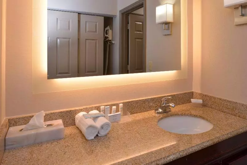 キングサイズベッドのスイートルーム, Homewood Suites By Hilton Dallaslewisville