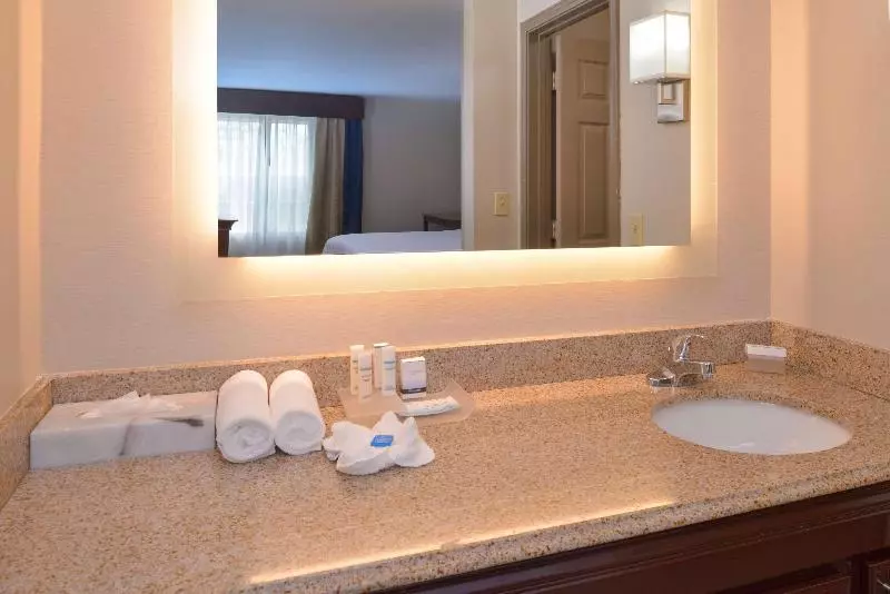 キングサイズベッドのスイートルーム, Homewood Suites By Hilton Dallaslewisville