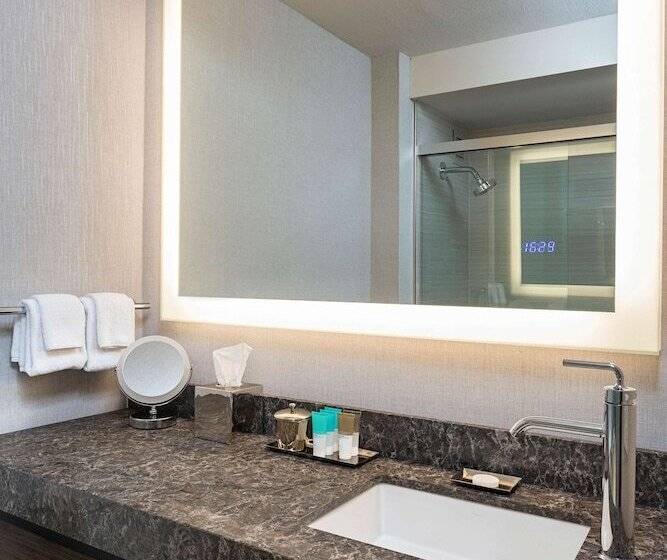 Номер Стандарт Двуспальная Кровать, Hyatt Regency Rochester