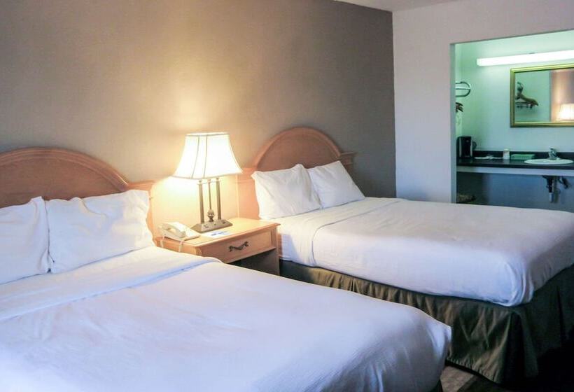 غرفه قياسيه سريرين مزدوجين, Rodeway Inn