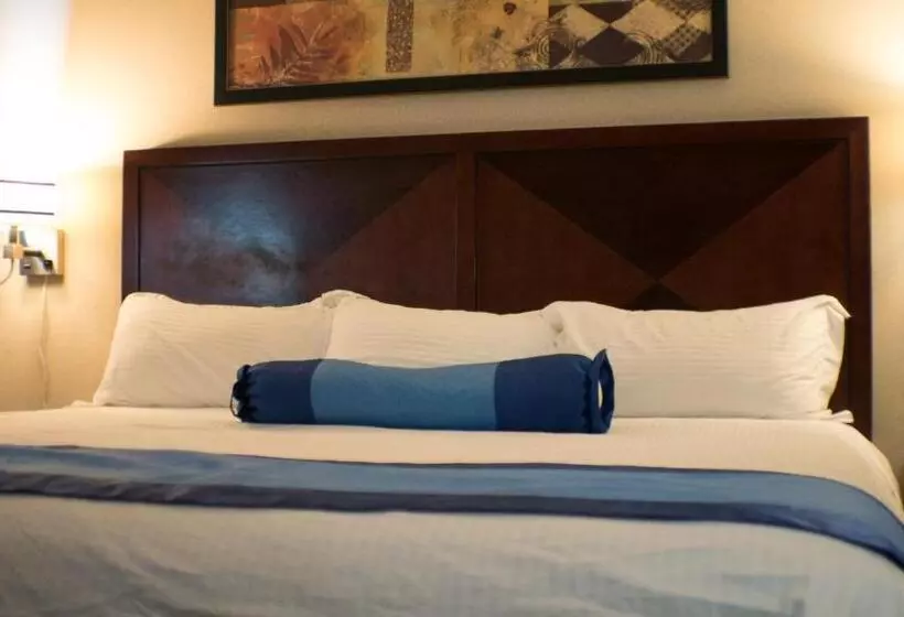 キングサイズベッドのスタンダードルーム, Rodeway Inn & Suites
