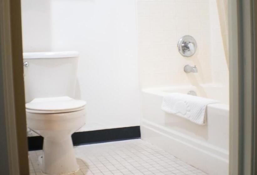 غرفة قياسية داخلية, Rodeway Inn & Suites