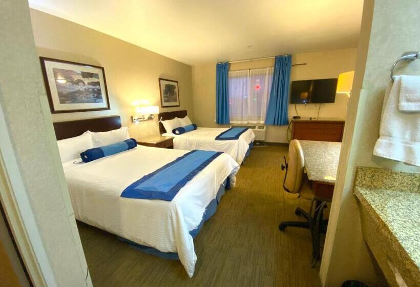 غرفة قياسية داخلية, Rodeway Inn & Suites