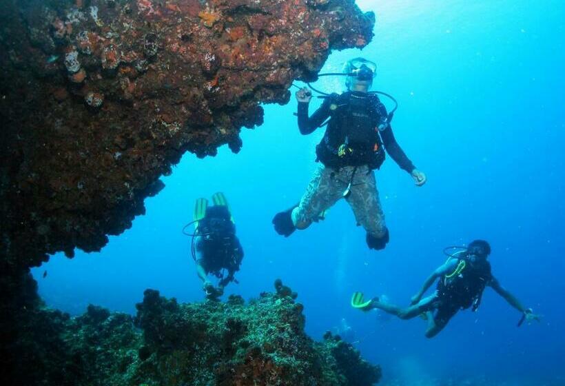 غرفة قياسية مطلّة علي الحديقة, White Tern Maldives