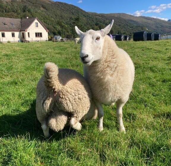 غرفة ديلوكس مطلّة علي البحر, Highland Croft B&b