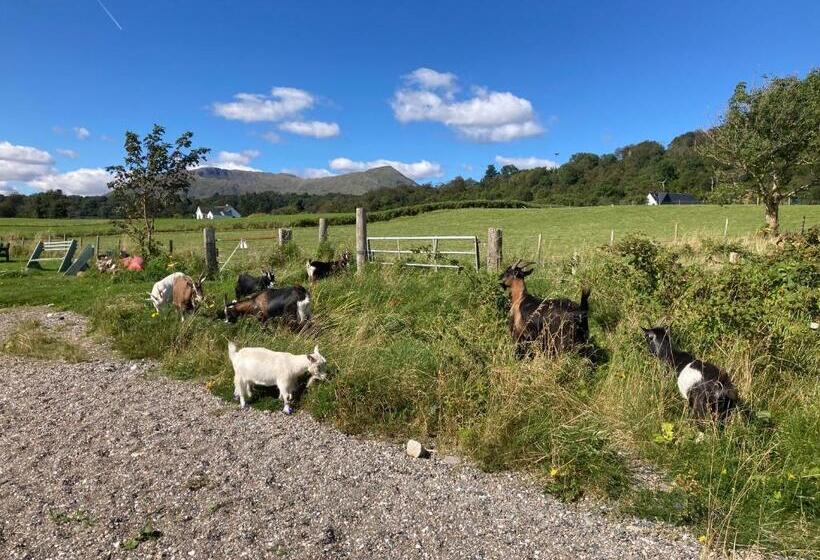 غرفة قياسية مطلّة علي الحديقة, Highland Croft B&b