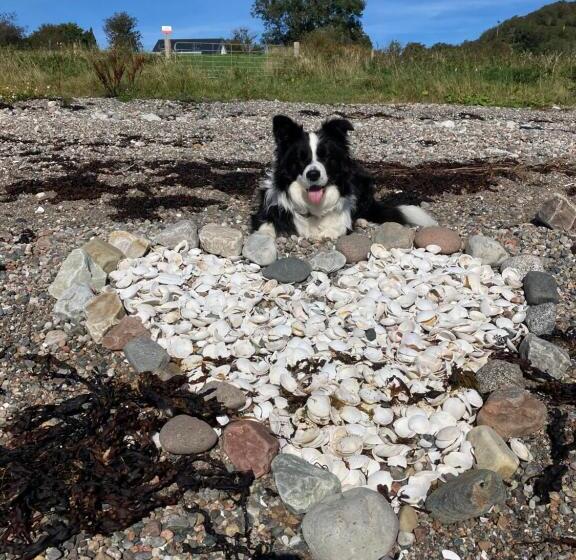 جناح جونيور مطلّ علي البحر, Highland Croft B&b