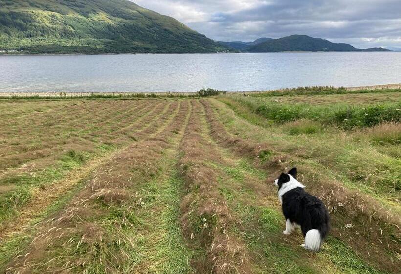 جناح جونيور مطلّ علي البحر, Highland Croft B&b
