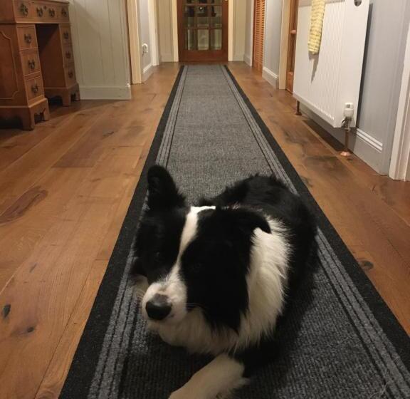 غرفة قياسية, Highland Croft B&b