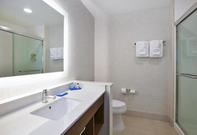 스탠다드 룸, Holiday Inn Express & Suites Grand Rapids Airport North, An Ihg
