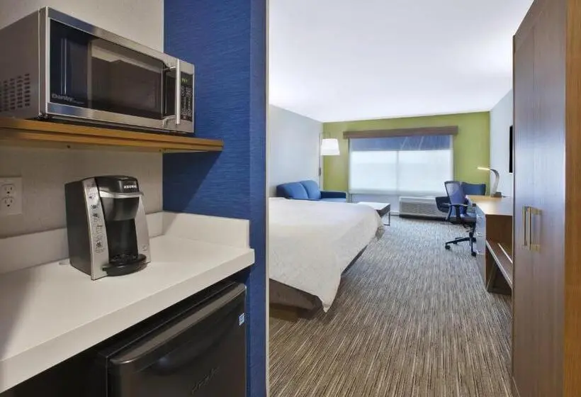 キングサイズベッドのスイートルーム, Holiday Inn Express & Suites Grand Rapids Airport North, An Ihg
