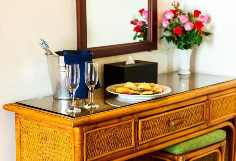 اتاق استاندارد با چشمانداز باغ, White Sand Resort Mui Ne