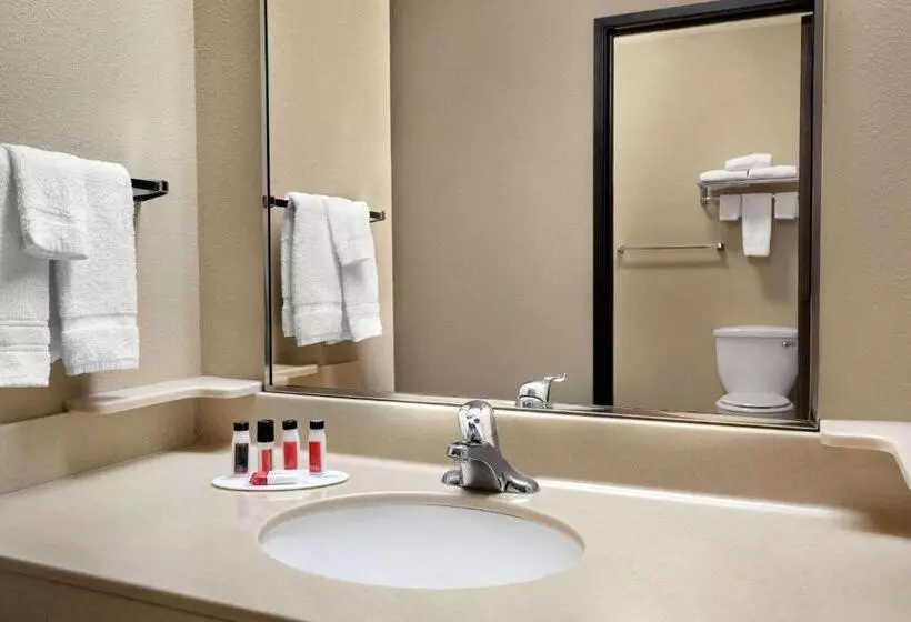 اتاق استاندارد با تخت بزرگ, Baymont By Wyndham Sioux Falls North,i 29,russell St, Airport