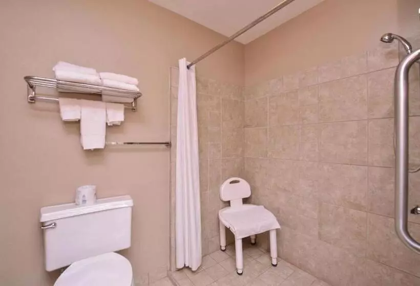 اتاق استاندارد برای معلولان, Baymont By Wyndham Sioux Falls North,i 29,russell St, Airport